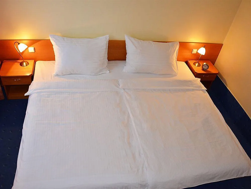 Albion Hotel Prague 4*,