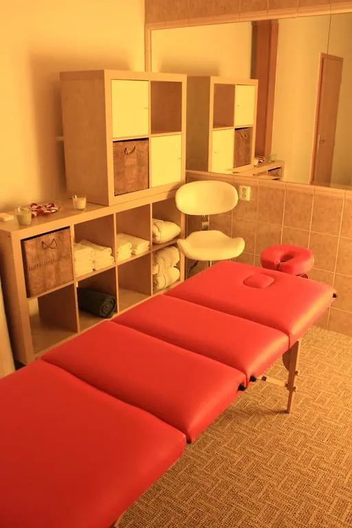 Albion Hotel Prague 4*,